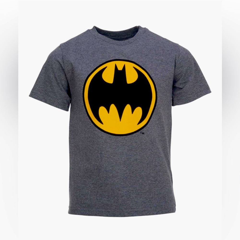 DC Comics Justice League Batman Superman The Flash 3 Pack T-Shirts - Size 5T - Picture 3 of 15